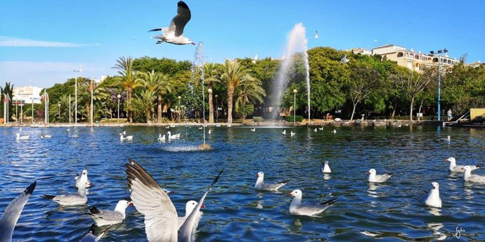 Torrevieja Experience Mar Azul Appartement Buitenkant foto